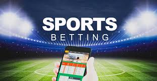 Best Online Casinos With USD & EUR Support 22